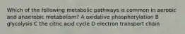 Which of the following metabolic pathways is common in aerobic and anaerobic metabolism? A oxidative phosphorylation B glycolysis C the citric acid cycle D electron transport chain