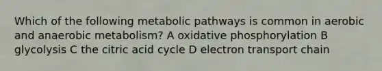 Which of the following metabolic pathways is common in aerobic and anaerobic metabolism? A oxidative phosphorylation B glycolysis C the citric acid cycle D electron transport chain