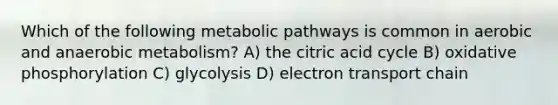 Which of the following metabolic pathways is common in aerobic and anaerobic metabolism? A) the citric acid cycle B) <a href='https://www.questionai.com/knowledge/kFazUb9IwO-oxidative-phosphorylation' class='anchor-knowledge'>oxidative phosphorylation</a> C) glycolysis D) electron transport chain