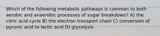 Which of the following metabolic pathways is common to both aerobic and anaerobic processes of sugar breakdown? A) the citric acid cycle B) the electron transport chain C) conversion of pyruvic acid to lactic acid D) glycolysis