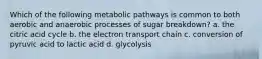 Which of the following metabolic pathways is common to both aerobic and anaerobic processes of sugar breakdown? a. the citric acid cycle b. the electron transport chain c. conversion of pyruvic acid to lactic acid d. glycolysis