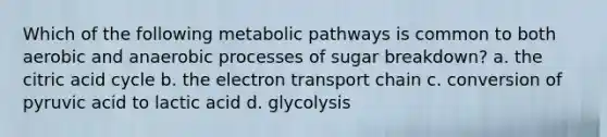 Which of the following metabolic pathways is common to both aerobic and anaerobic processes of sugar breakdown? a. the citric acid cycle b. the electron transport chain c. conversion of pyruvic acid to lactic acid d. glycolysis