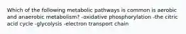 Which of the following metabolic pathways is common is aerobic and anaerobic metabolism? -oxidative phosphorylation -the citric acid cycle -glycolysis -electron transport chain