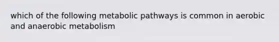 which of the following metabolic pathways is common in aerobic and anaerobic metabolism