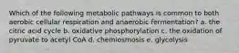 Which of the following metabolic pathways is common to both aerobic cellular respiration and anaerobic fermentation? a. the citric acid cycle b. oxidative phosphorylation c. the oxidation of pyruvate to acetyl CoA d. chemiosmosis e. glycolysis