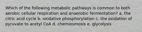 Which of the following metabolic pathways is common to both aerobic cellular respiration and anaerobic fermentation? a. the citric acid cycle b. oxidative phosphorylation c. the oxidation of pyruvate to acetyl CoA d. chemiosmosis e. glycolysis