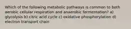 Which of the following metabolic pathways is common to both aerobic cellular respiration and anaerobic fermentation? a) glycolysis b) citric acid cycle c) oxidative phosphorylation d) electron transport chain