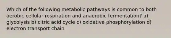 Which of the following metabolic pathways is common to both aerobic <a href='https://www.questionai.com/knowledge/k1IqNYBAJw-cellular-respiration' class='anchor-knowledge'>cellular respiration</a> and anaerobic fermentation? a) glycolysis b) citric acid cycle c) <a href='https://www.questionai.com/knowledge/kFazUb9IwO-oxidative-phosphorylation' class='anchor-knowledge'>oxidative phosphorylation</a> d) electron transport chain