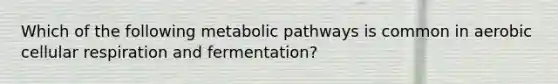 Which of the following metabolic pathways is common in aerobic cellular respiration and fermentation?