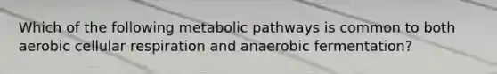 Which of the following metabolic pathways is common to both aerobic cellular respiration and anaerobic fermentation?