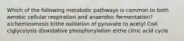 Which of the following metabolic pathways is common to both aerobic cellular respiration and anaerobic fermentation? a)chemiosmosis b)the oxidation of pyruvate to acetyl CoA c)glycolysis d)oxidative phosphorylation e)the citric acid cycle