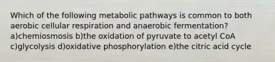 Which of the following metabolic pathways is common to both aerobic cellular respiration and anaerobic fermentation? a)chemiosmosis b)the oxidation of pyruvate to acetyl CoA c)glycolysis d)oxidative phosphorylation e)the citric acid cycle