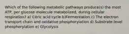 Which of the following metabolic pathways produce(s) the most ATP, per glucose molecule metabolized, during cellular respiration? a) Citric acid cycle b)Fermentation c) The electron transport chain and oxidative phosphorylation d) Substrate-level phosphorylation e) Glycolysis