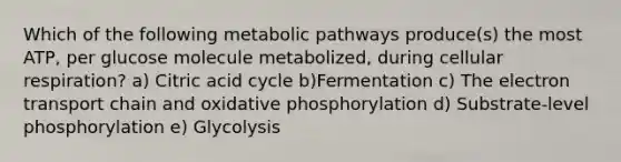 Which of the following metabolic pathways produce(s) the most ATP, per glucose molecule metabolized, during cellular respiration? a) Citric acid cycle b)Fermentation c) The electron transport chain and oxidative phosphorylation d) Substrate-level phosphorylation e) Glycolysis