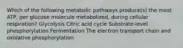 Which of the following metabolic pathways produce(s) the most ATP, per glucose molecule metabolized, during cellular respiration? Glycolysis Citric acid cycle Substrate-level phosphorylation Fermentation The electron transport chain and oxidative phosphorylation