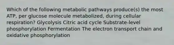 Which of the following metabolic pathways produce(s) the most ATP, per glucose molecule metabolized, during cellular respiration? Glycolysis Citric acid cycle Substrate-level phosphorylation Fermentation The electron transport chain and oxidative phosphorylation