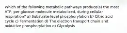 Which of the following metabolic pathways produce(s) the most ATP, per glucose molecule metabolized, during cellular respiration? a) Substrate-level phosphorylation b) Citric acid cycle c) Fermentation d) The electron transport chain and oxidative phosphorylation e) Glycolysis