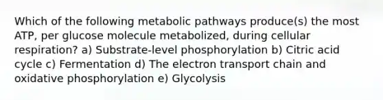 Which of the following metabolic pathways produce(s) the most ATP, per glucose molecule metabolized, during cellular respiration? a) Substrate-level phosphorylation b) Citric acid cycle c) Fermentation d) The electron transport chain and oxidative phosphorylation e) Glycolysis