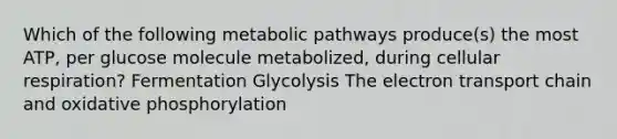 Which of the following metabolic pathways produce(s) the most ATP, per glucose molecule metabolized, during cellular respiration? Fermentation Glycolysis <a href='https://www.questionai.com/knowledge/k57oGBr0HP-the-electron-transport-chain' class='anchor-knowledge'>the electron transport chain</a> and <a href='https://www.questionai.com/knowledge/kFazUb9IwO-oxidative-phosphorylation' class='anchor-knowledge'>oxidative phosphorylation</a>