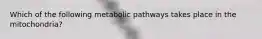 Which of the following metabolic pathways takes place in the mitochondria?