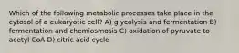 Which of the following metabolic processes take place in the cytosol of a eukaryotic cell? A) glycolysis and fermentation B) fermentation and chemiosmosis C) oxidation of pyruvate to acetyl CoA D) citric acid cycle