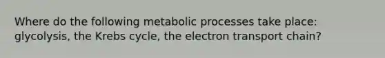 Where do the following <a href='https://www.questionai.com/knowledge/kIwWJZwU4N-metabolic-processes' class='anchor-knowledge'>metabolic processes</a> take place: glycolysis, the <a href='https://www.questionai.com/knowledge/kqfW58SNl2-krebs-cycle' class='anchor-knowledge'>krebs cycle</a>, <a href='https://www.questionai.com/knowledge/k57oGBr0HP-the-electron-transport-chain' class='anchor-knowledge'>the electron transport chain</a>?