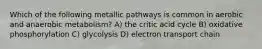 Which of the following metallic pathways is common in aerobic and anaerobic metabolism? A) the critic acid cycle B) oxidative phosphorylation C) glycolysis D) electron transport chain