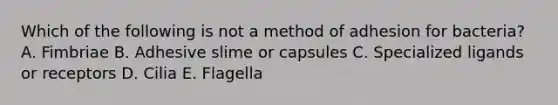 Which of the following is not a method of adhesion for bacteria? A. Fimbriae B. Adhesive slime or capsules C. Specialized ligands or receptors D. Cilia E. Flagella