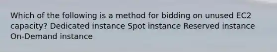 Which of the following is a method for bidding on unused EC2 capacity? Dedicated instance Spot instance Reserved instance On-Demand instance