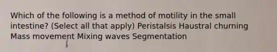 Which of the following is a method of motility in the small intestine? (Select all that apply) Peristalsis Haustral churning Mass movement Mixing waves Segmentation