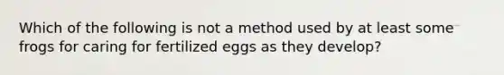 Which of the following is not a method used by at least some frogs for caring for fertilized eggs as they develop?