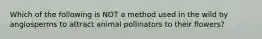 Which of the following is NOT a method used in the wild by angiosperms to attract animal pollinators to their flowers?