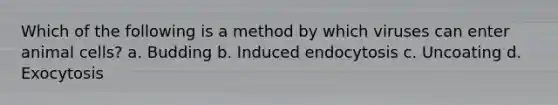 Which of the following is a method by which viruses can enter animal cells? a. Budding b. Induced endocytosis c. Uncoating d. Exocytosis