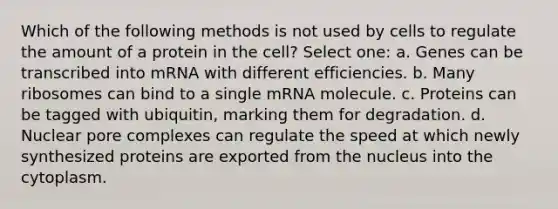 Which of the following methods is not used by cells to regulate the amount of a protein in the cell? Select one: a. Genes can be transcribed into mRNA with different efficiencies. b. Many ribosomes can bind to a single mRNA molecule. c. Proteins can be tagged with ubiquitin, marking them for degradation. d. Nuclear pore complexes can regulate the speed at which newly synthesized proteins are exported from the nucleus into the cytoplasm.