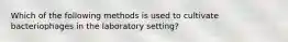 Which of the following methods is used to cultivate bacteriophages in the laboratory setting?