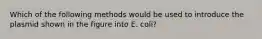 Which of the following methods would be used to introduce the plasmid shown in the figure into E. coli?