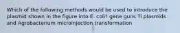 Which of the following methods would be used to introduce the plasmid shown in the figure into E. coli? gene guns Ti plasmids and Agrobacterium microinjection transformation