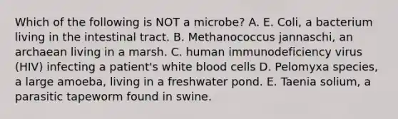 Which of the following is NOT a microbe? A. E. Coli, a bacterium living in the intestinal tract. B. Methanococcus jannaschi, an archaean living in a marsh. C. human immunodeficiency virus (HIV) infecting a patient's white blood cells D. Pelomyxa species, a large amoeba, living in a freshwater pond. E. Taenia solium, a parasitic tapeworm found in swine.