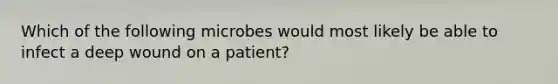 Which of the following microbes would most likely be able to infect a deep wound on a patient?