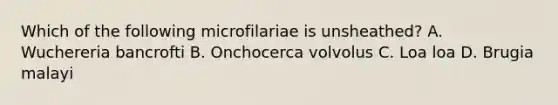 Which of the following microfilariae is unsheathed? A. Wuchereria bancrofti B. Onchocerca volvolus C. Loa loa D. Brugia malayi