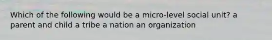 Which of the following would be a micro-level social unit? a parent and child a tribe a nation an organization