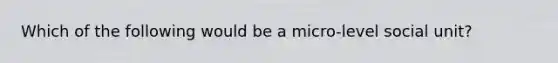 Which of the following would be a micro-level social unit?