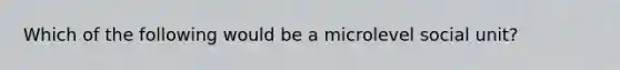 Which of the following would be a microlevel social unit?