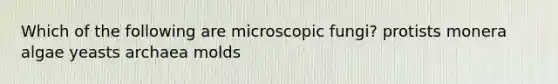 Which of the following are microscopic fungi? protists monera algae yeasts archaea molds