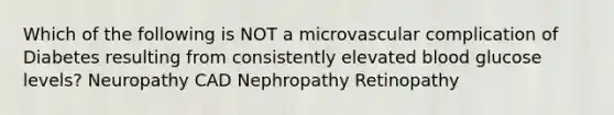 Which of the following is NOT a microvascular complication of Diabetes resulting from consistently elevated blood glucose levels? Neuropathy CAD Nephropathy Retinopathy