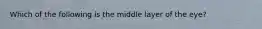 Which of the following is the middle layer of the eye?