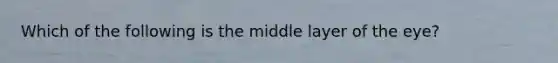 Which of the following is the middle layer of the eye?