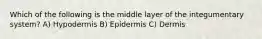 Which of the following is the middle layer of the integumentary system? A) Hypodermis B) Epidermis C) Dermis