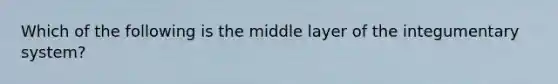 Which of the following is the middle layer of the integumentary system?