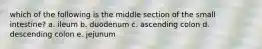 which of the following is the middle section of the small intestine? a. ileum b. duodenum c. ascending colon d. descending colon e. jejunum